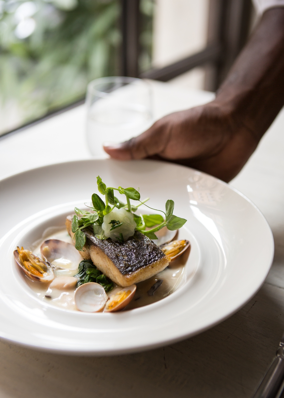 Food photography of delicious clam entree