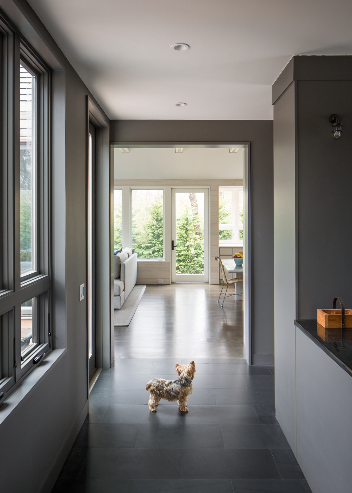 Hospitality photograph of small dog in hallway of modern home